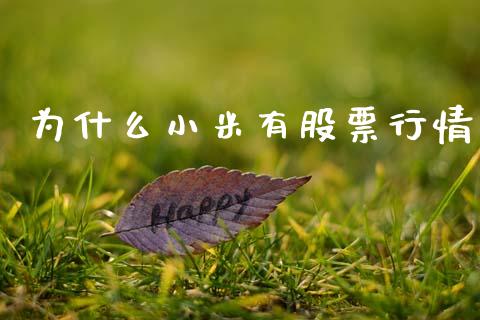 为什么小米有股票行情_https://www.apanben.com_股票怎么玩_第1张