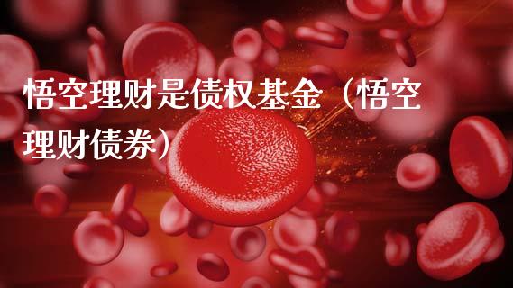 悟空理财是债权基金（悟空理财债券）_https://www.apanben.com_财经资讯_第1张