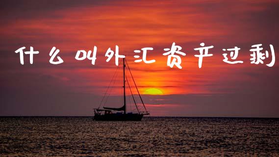 什么叫外汇资产过剩_https://www.apanben.com_期货学院_第1张