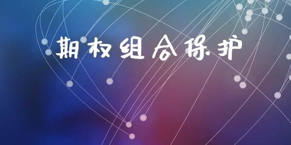 期权组合保护_https://www.apanben.com_在线喊单_第1张
