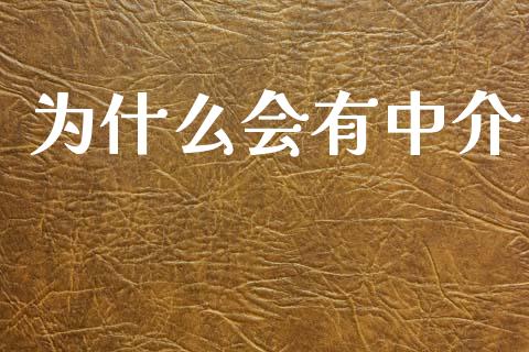 为什么会有中介_https://www.apanben.com_股市分析_第1张