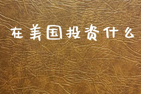 在美国投资什么_https://www.apanben.com_期货学院_第1张