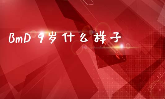 BmD 9岁什么样子_https://www.apanben.com_财经资讯_第1张