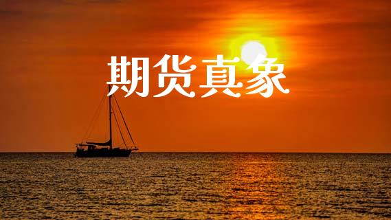 期货真象_https://www.apanben.com_在线喊单_第1张