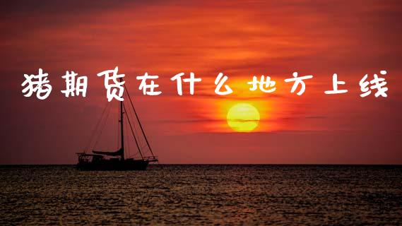 猪期货在什么地方上线_https://www.apanben.com_股市指导_第1张