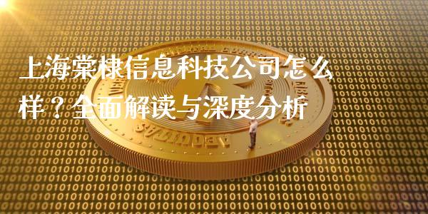 上海棠棣信息科技公司怎么样？全面解读与深度分析_https://www.apanben.com_股市指导_第1张