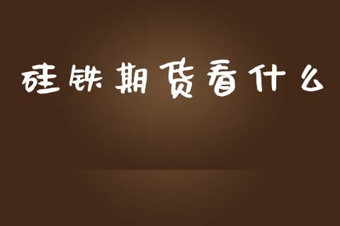 硅铁期货看什么_https://www.apanben.com_期货学院_第1张