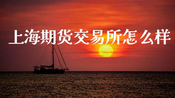 上海期货交易所怎么样_https://www.apanben.com_股市分析_第1张