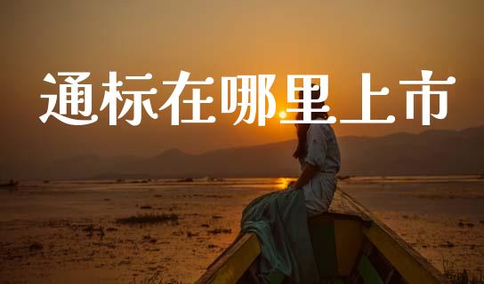 通标在哪里上市_https://www.apanben.com_股市指导_第1张