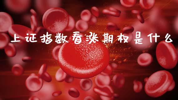 上证指数看涨期权是什么_https://www.apanben.com_财经资讯_第1张