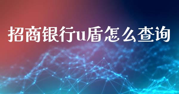 招商银行u盾怎么查询_https://www.apanben.com_股市分析_第1张