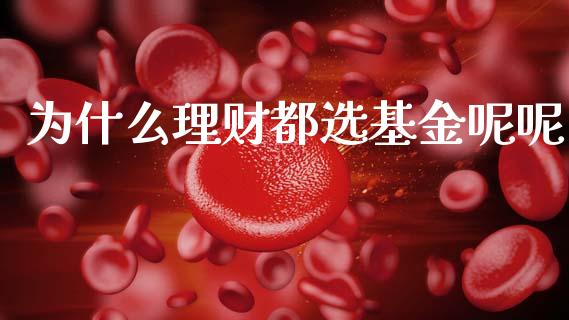 为什么理财都选基金呢呢_https://www.apanben.com_国际财经_第1张