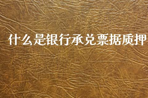 什么是银行承兑票据质押_https://www.apanben.com_期货学院_第1张