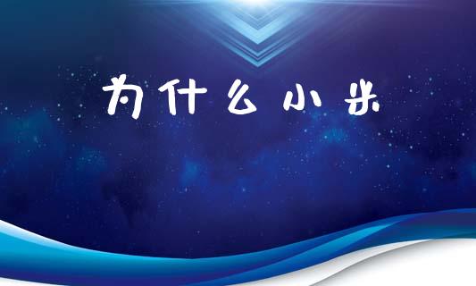 为什么小米_https://www.apanben.com_股票怎么玩_第1张