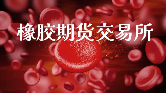 橡胶期货交易所_https://www.apanben.com_股市指导_第1张