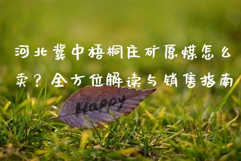 河北冀中梧桐庄矿原煤怎么卖？全方位解读与销售指南_https://www.apanben.com_股市指导_第1张