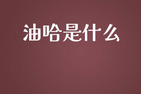 油哈是什么_https://www.apanben.com_股市分析_第1张