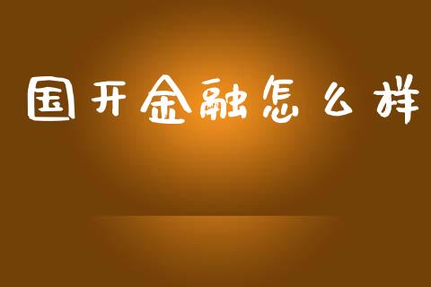 国开金融怎么样_https://www.apanben.com_国际财经_第1张