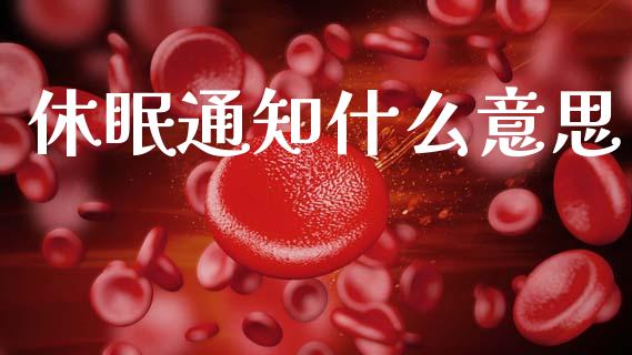 休眠通知什么意思_https://www.apanben.com_股票怎么玩_第1张
