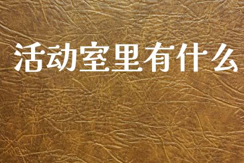 活动室里有什么_https://www.apanben.com_在线喊单_第1张