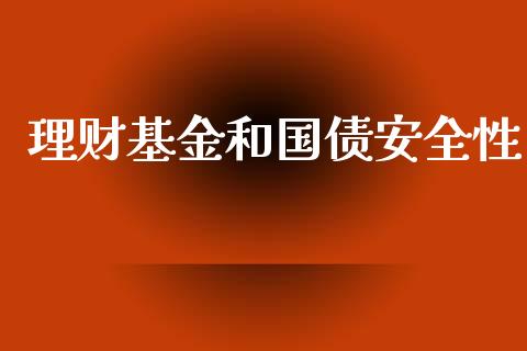 理财基金和国债安全性_https://www.apanben.com_国际财经_第1张
