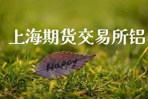 上海期货交易所铝_https://www.apanben.com_期货学院_第1张
