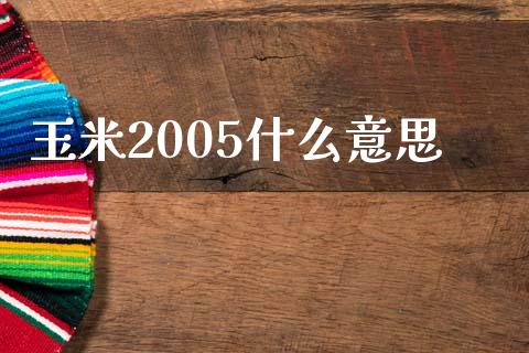 玉米2005什么意思_https://www.apanben.com_股票怎么玩_第1张