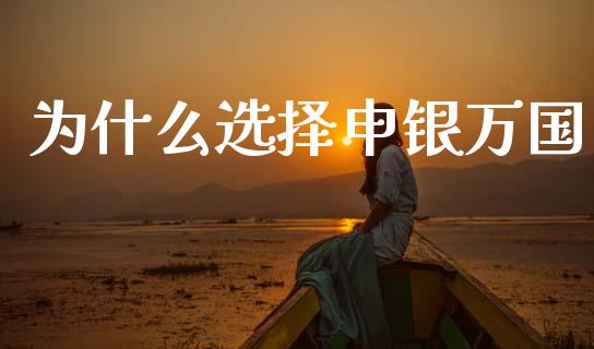 为什么选择申银万国_https://www.apanben.com_股票怎么玩_第1张