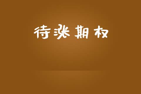 待涨期权_https://www.apanben.com_财经资讯_第1张