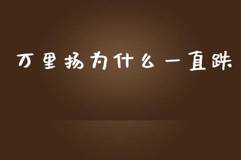 万里扬为什么一直跌_https://www.apanben.com_股市分析_第1张