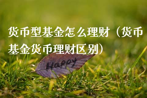 货币型基金怎么理财（货币基金货币理财区别）_https://www.apanben.com_国际财经_第1张