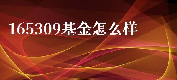 165309基金怎么样_https://www.apanben.com_国际期货_第1张