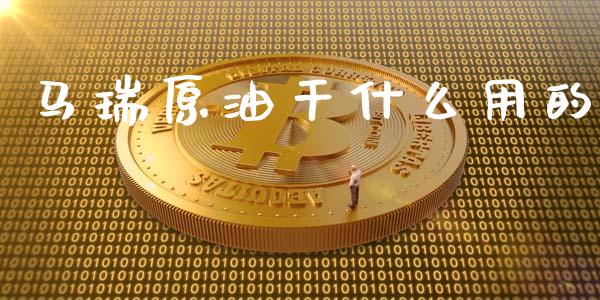 马瑞原油干什么用的_https://www.apanben.com_股市指导_第1张