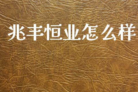 兆丰恒业怎么样_https://www.apanben.com_国际期货_第1张