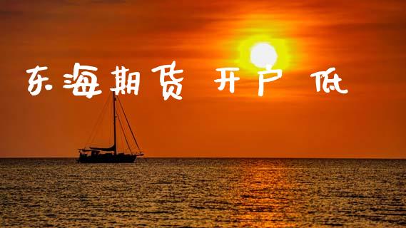 东海期货 开户 低_https://www.apanben.com_国际期货_第1张