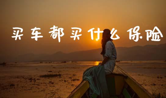 买车都买什么保险_https://www.apanben.com_在线喊单_第1张