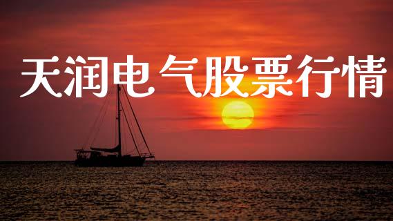 天润电气股票行情_https://www.apanben.com_股票怎么玩_第1张