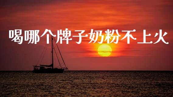 喝哪个牌子奶粉不上火_https://www.apanben.com_在线喊单_第1张
