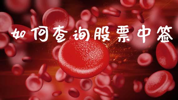 如何查询股票中签_https://www.apanben.com_股票怎么玩_第1张