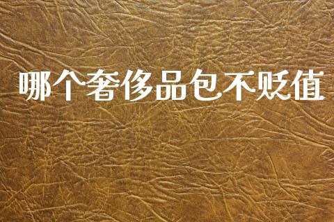 哪个奢侈品包不贬值_https://www.apanben.com_财经资讯_第1张