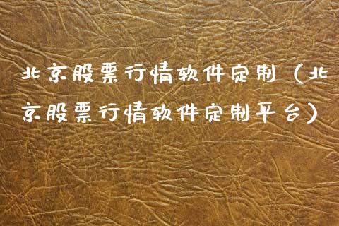 北京股票行情软件定制（北京股票行情软件定制平台）_https://www.apanben.com_股市分析_第1张