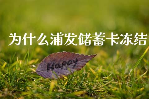 为什么浦发储蓄卡冻结_https://www.apanben.com_股市指导_第1张