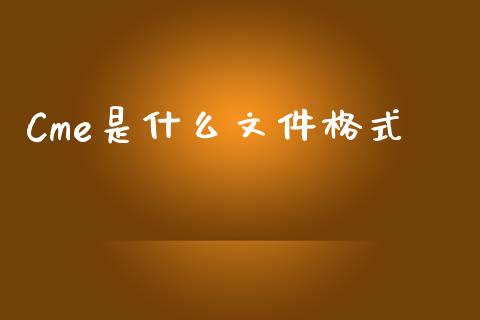 Cme是什么文件格式_https://www.apanben.com_期货学院_第1张