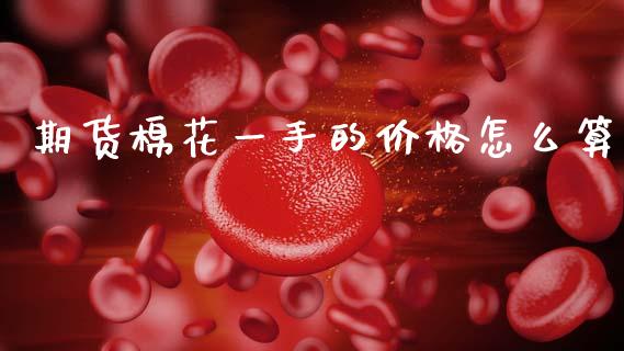 期货棉花一手的价格怎么算_https://www.apanben.com_股市指导_第1张