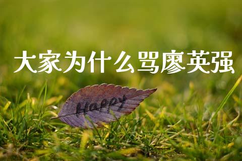 大家为什么骂廖英强_https://www.apanben.com_国际财经_第1张
