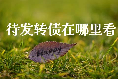 待发转债在哪里看_https://www.apanben.com_在线喊单_第1张