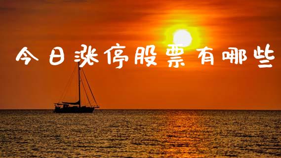 今日涨停股票有哪些_https://www.apanben.com_期货学院_第1张