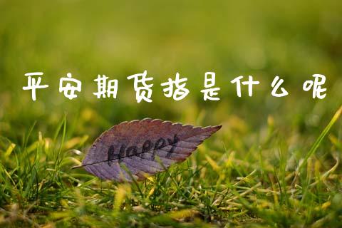 平安期货指是什么呢_https://www.apanben.com_股市指导_第1张