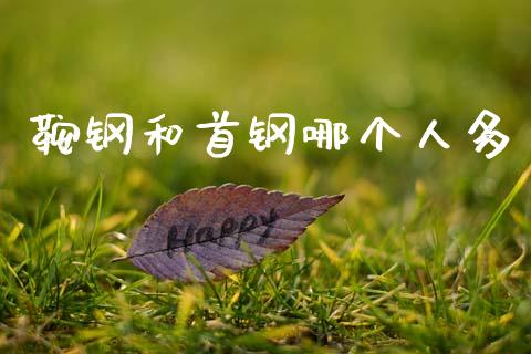 鞍钢和首钢哪个人多_https://www.apanben.com_股市指导_第1张