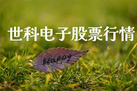 世科电子股票行情_https://www.apanben.com_股票怎么玩_第1张